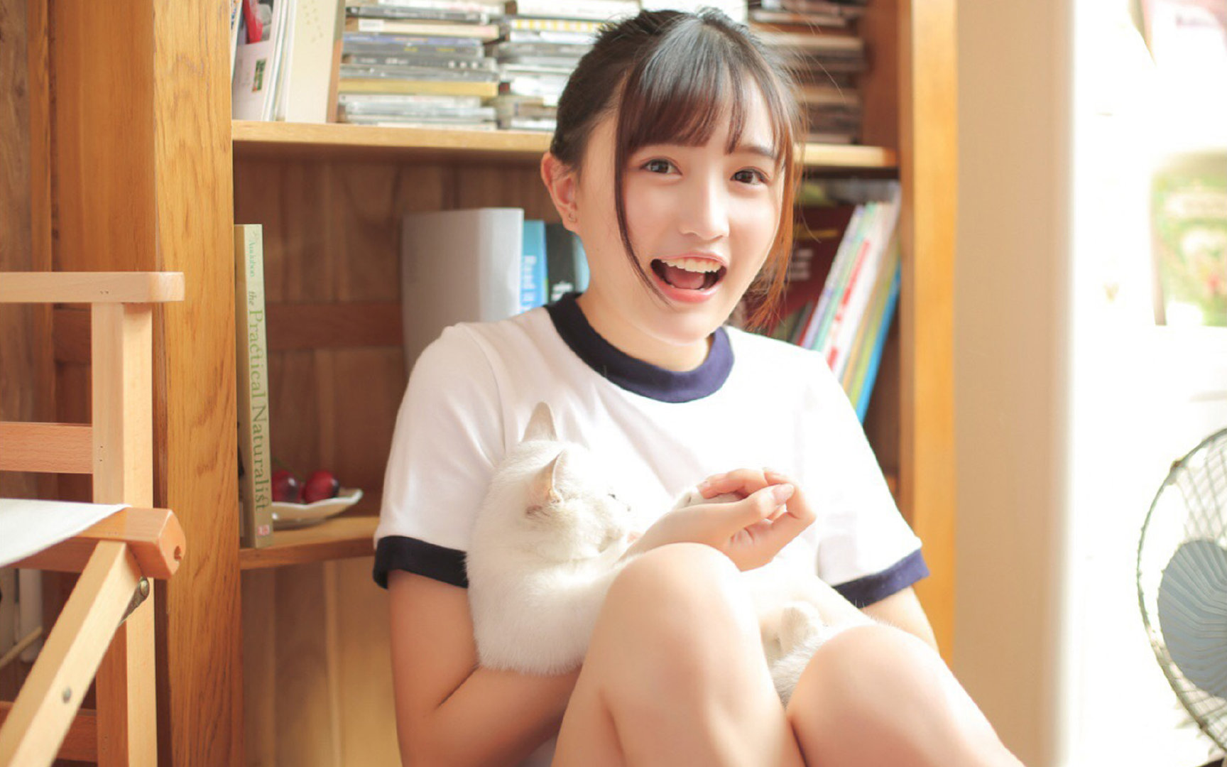 MVP竞争白热化数据与战绩全面分析，mvp竞争白热化数据与战绩全面分析怎么写