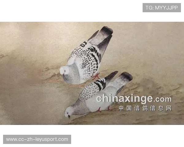 赛后明星访谈:欧冠中的那些感人瞬间,欧冠精彩片段 赛后明星访谈:欧冠中的那些感人瞬间,欧冠精彩片段